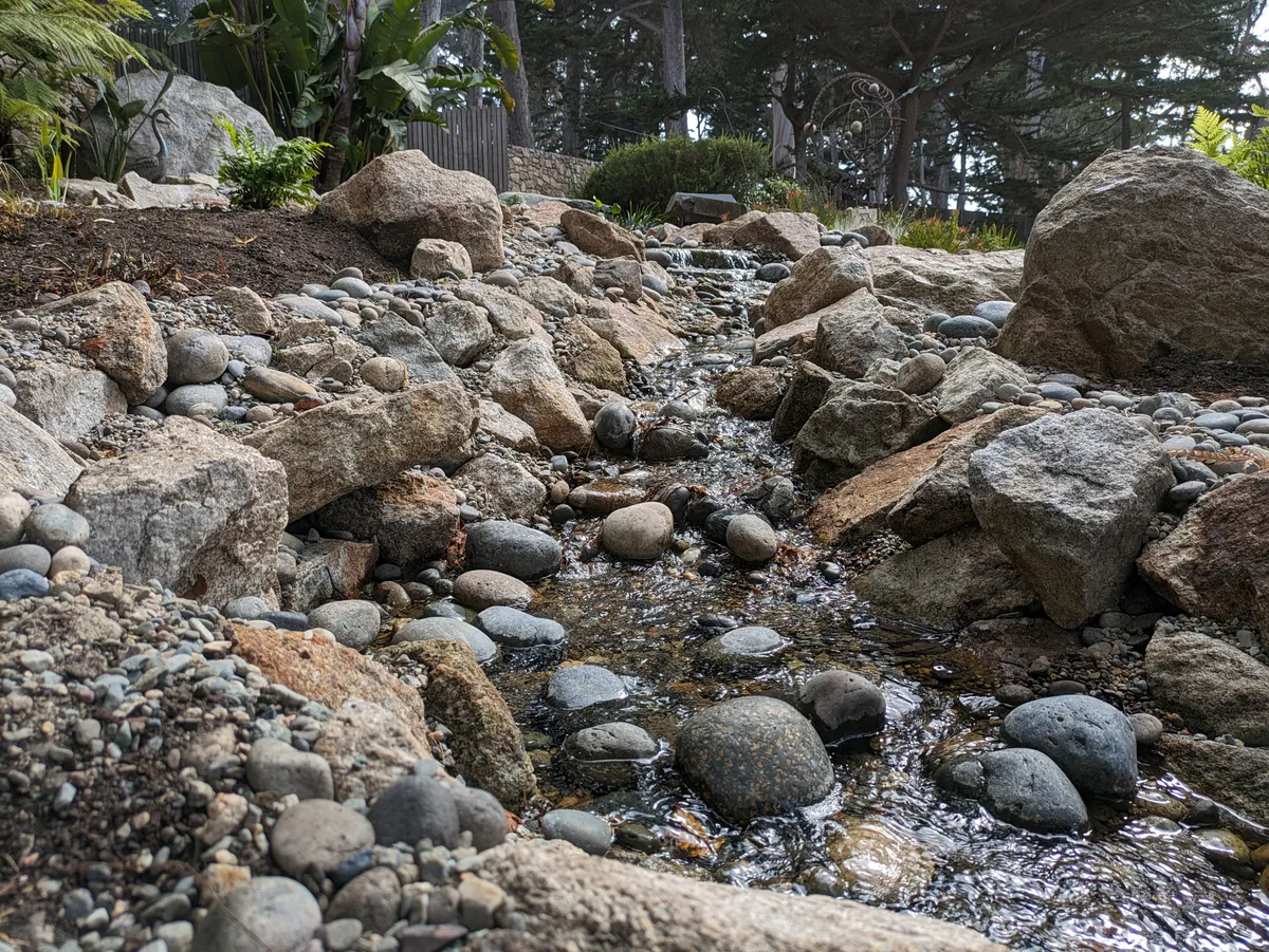Carmel Pond Oasis detail 2