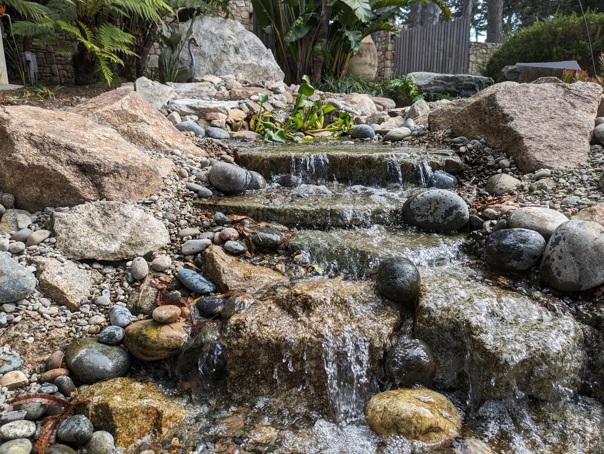 Carmel Pond Oasis detail 3