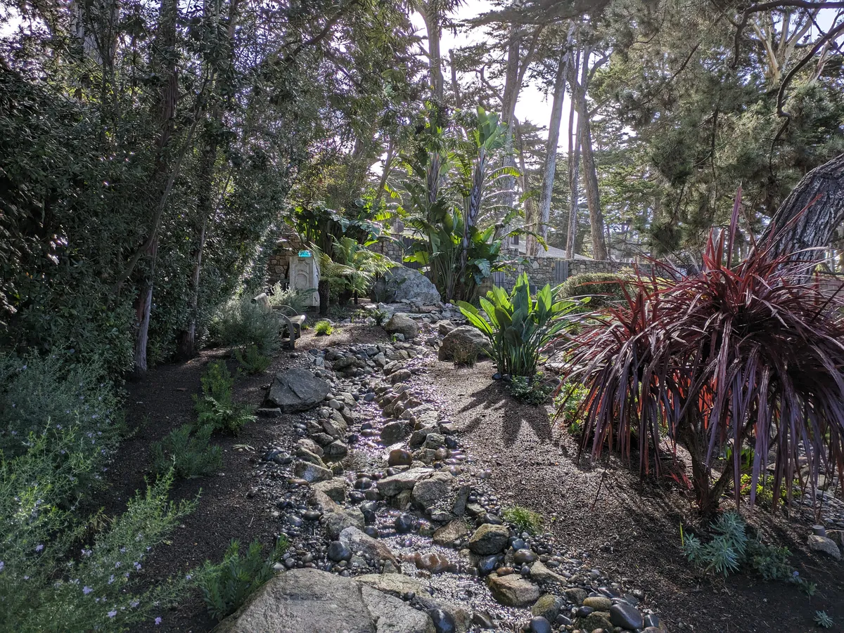 Carmel Pond Oasis detail 4