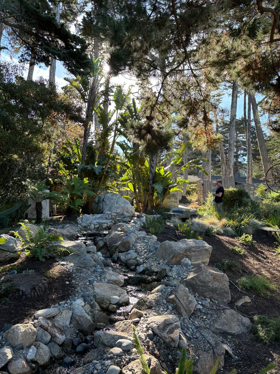 Carmel Pond Oasis detail 6