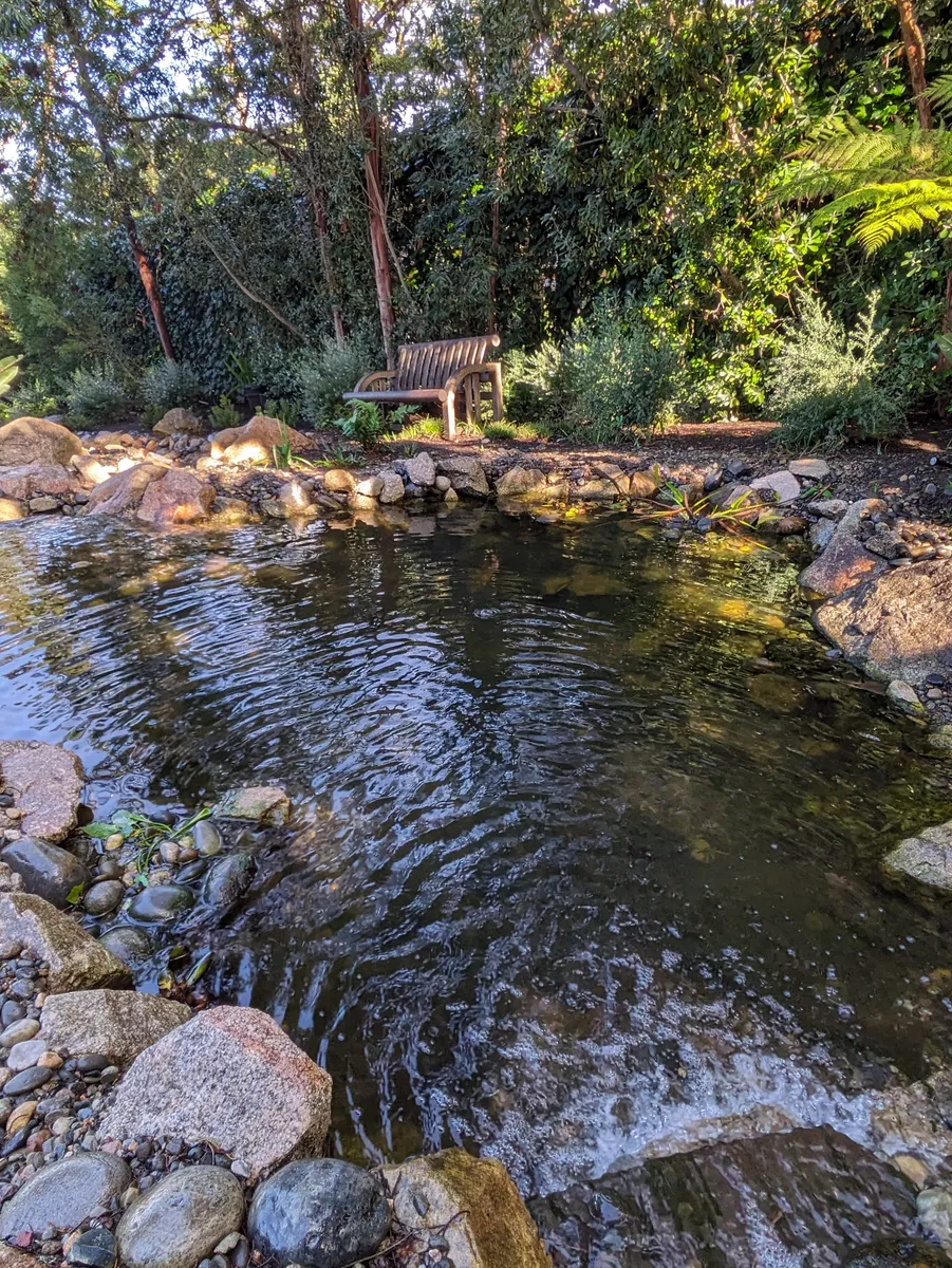 Carmel Pond Oasis detail 7