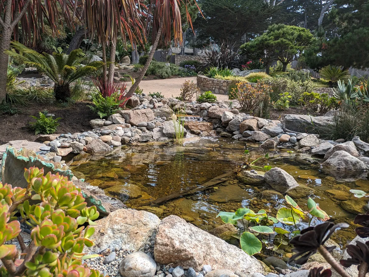 Sunlit coastal pond with clear water, lily pads, and hand-set stone