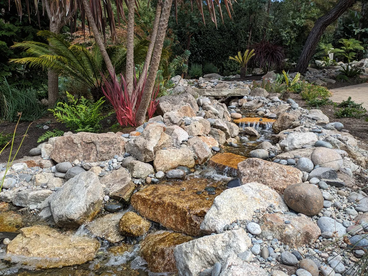 Coastal Koi & Lily Pond detail 5