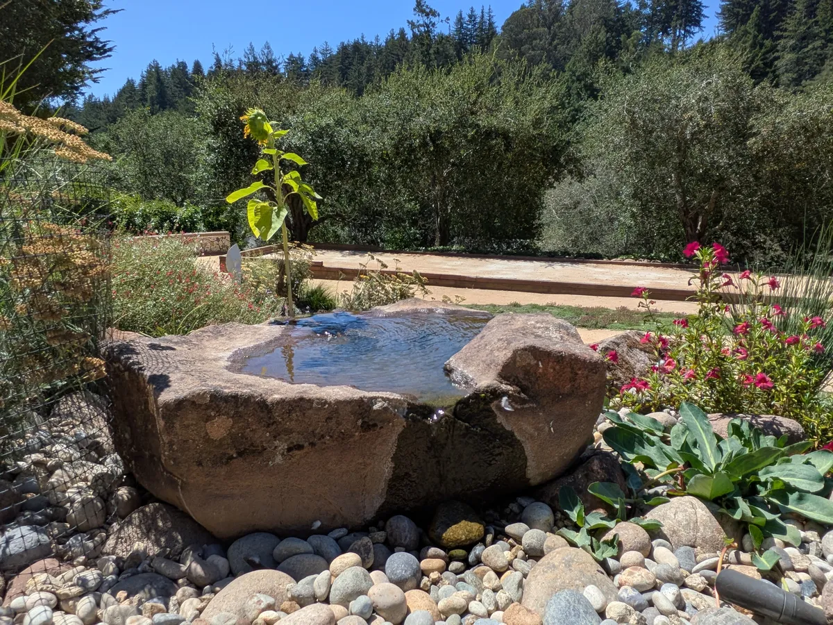 Dry Stream Bed and Boulder Garden landscaping project in Scotts Valley, CA