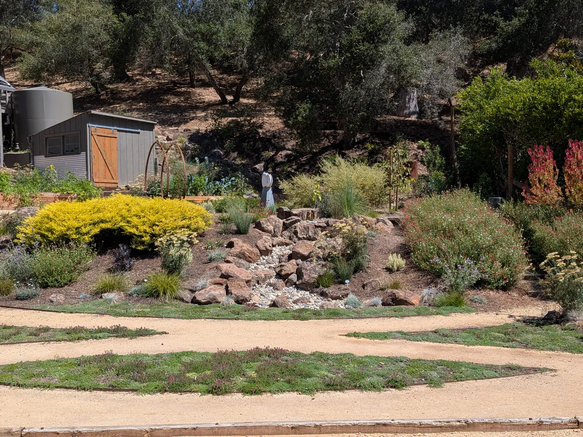 Dry Stream Bed and Boulder Garden detail 2