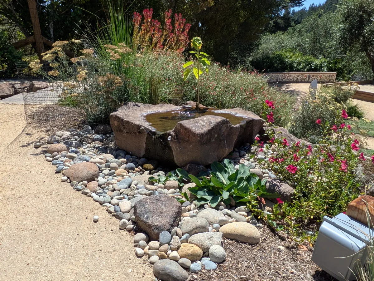 Dry Stream Bed and Boulder Garden detail 3