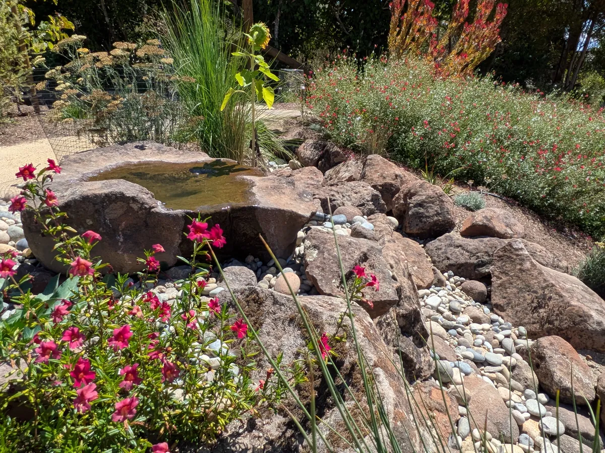 Dry Stream Bed and Boulder Garden detail 4