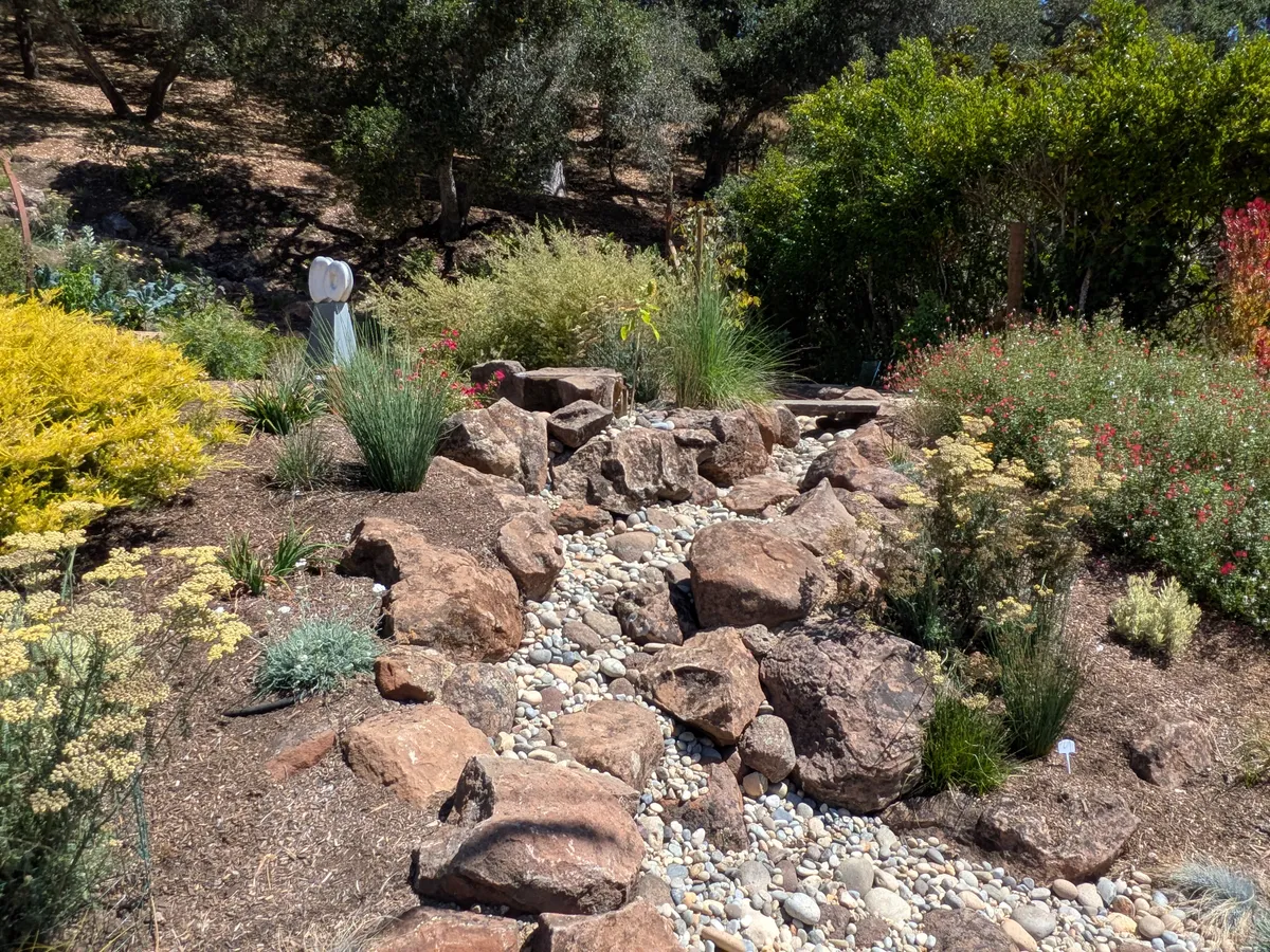 Dry Stream Bed and Boulder Garden detail 5