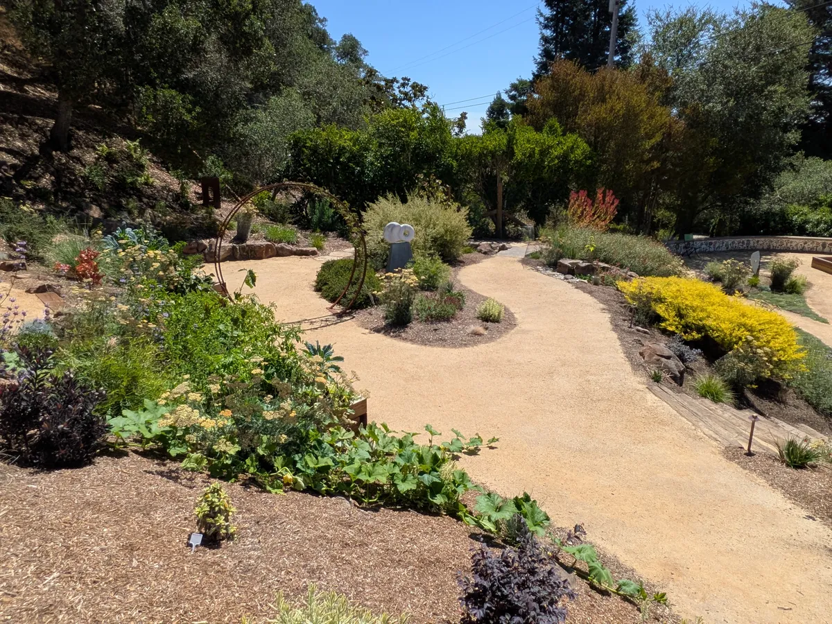 Dry Stream Bed and Boulder Garden detail 6