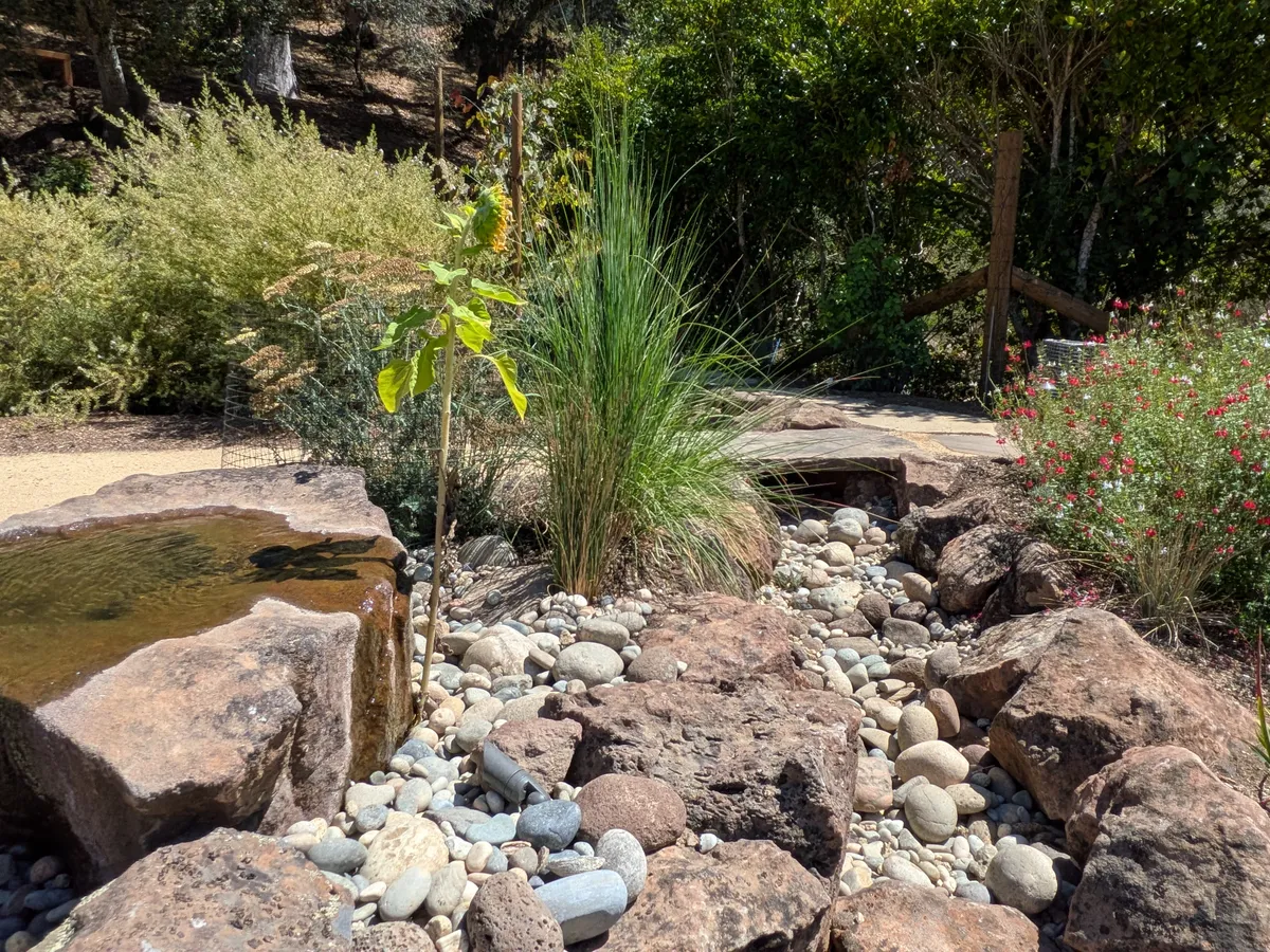 Dry Stream Bed and Boulder Garden detail 8