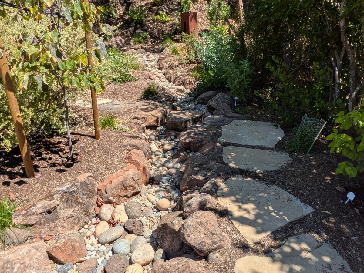 Dry Stream Bed and Boulder Garden detail 9
