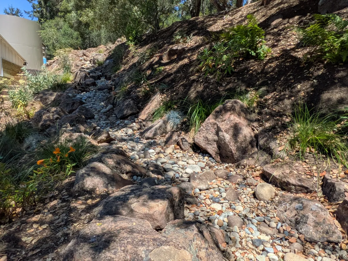 Dry Stream Bed and Boulder Garden detail 10
