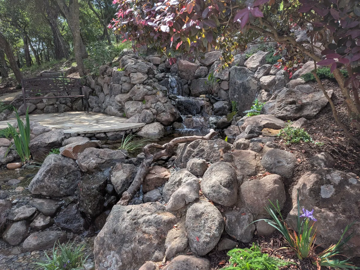 Hillside Pond & Waterfall landscaping project in Watsonville, CA