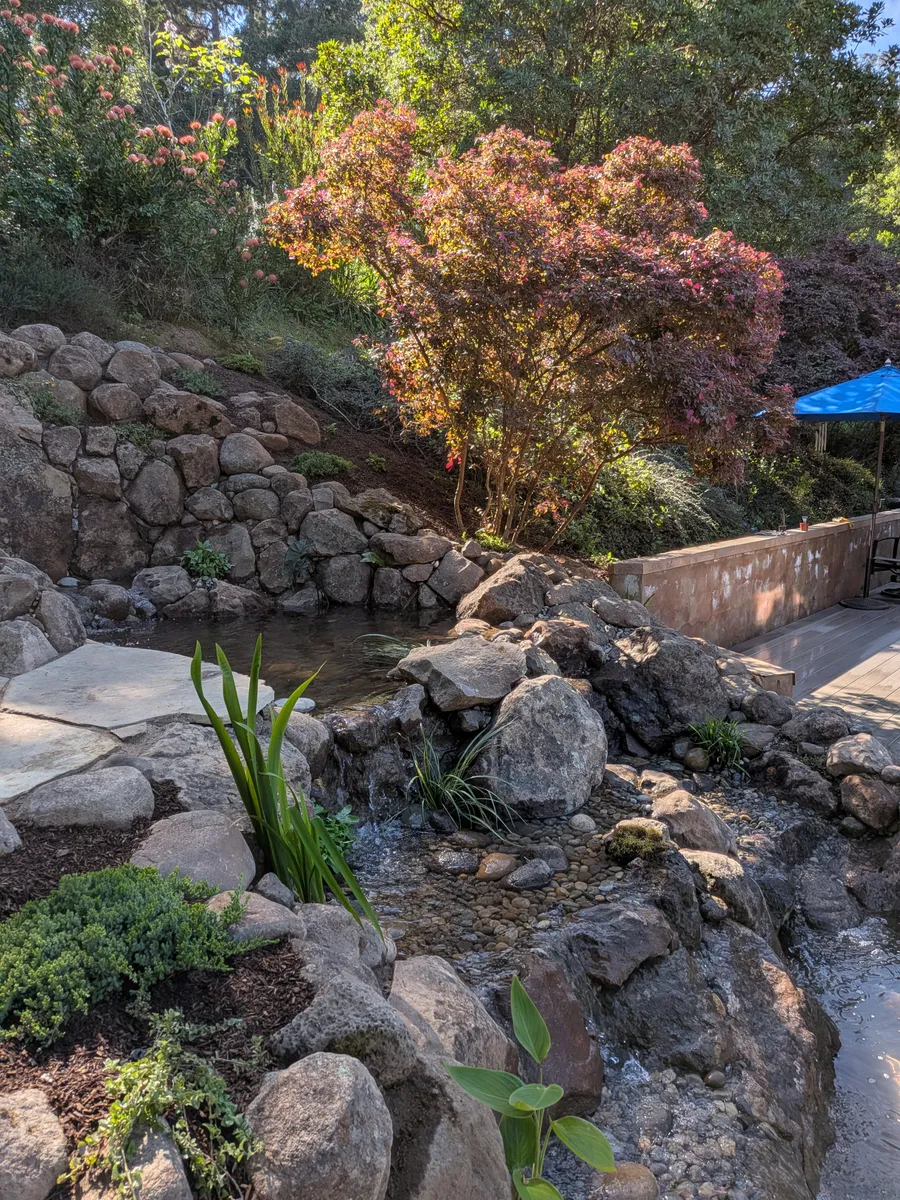Hillside Pond & Waterfall detail 3