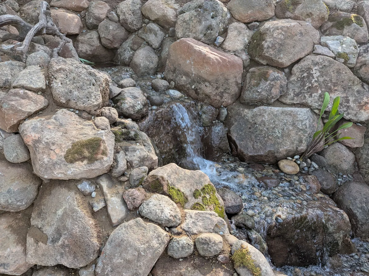 Hillside Pond & Waterfall detail 5