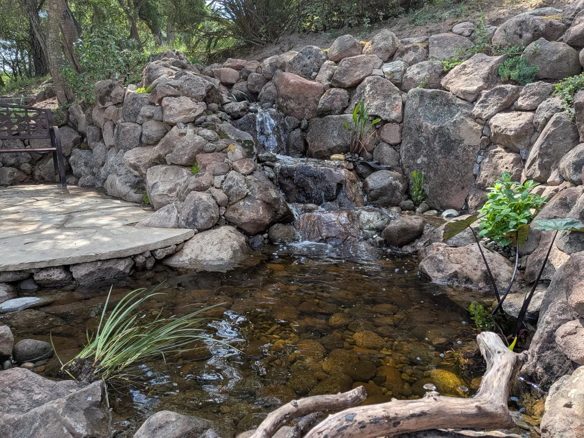 Hillside Pond & Waterfall detail 7