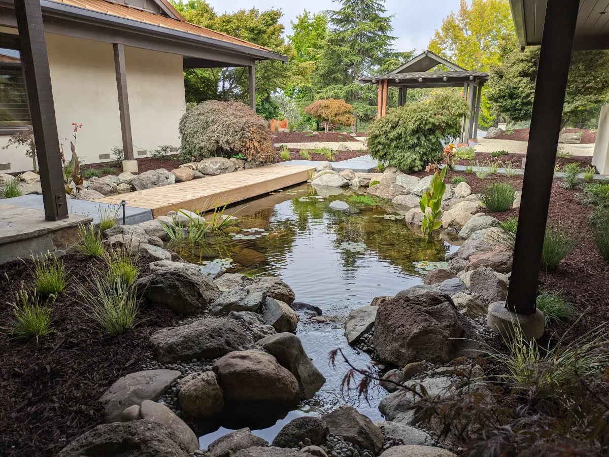 Soquel Courtyard Pond landscaping project in Soquel, CA