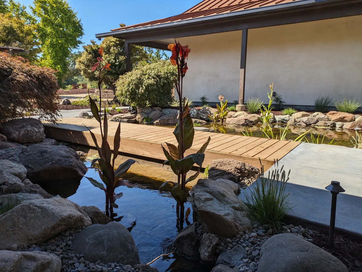 Soquel Courtyard Pond detail 2