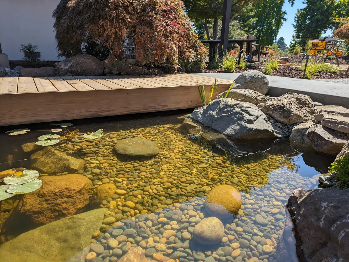 Soquel Courtyard Pond detail 3