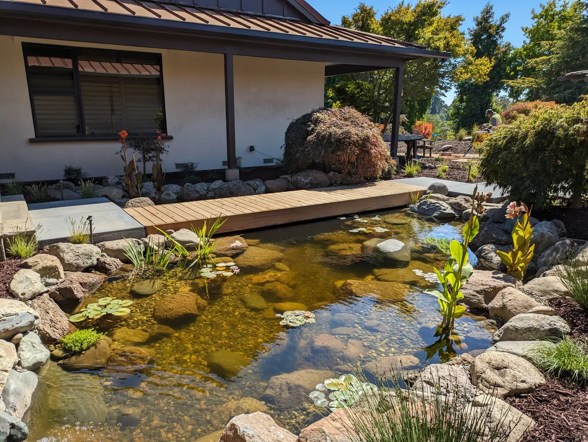 Soquel Courtyard Pond detail 4