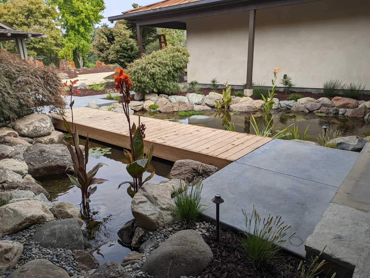 Soquel Courtyard Pond detail 5