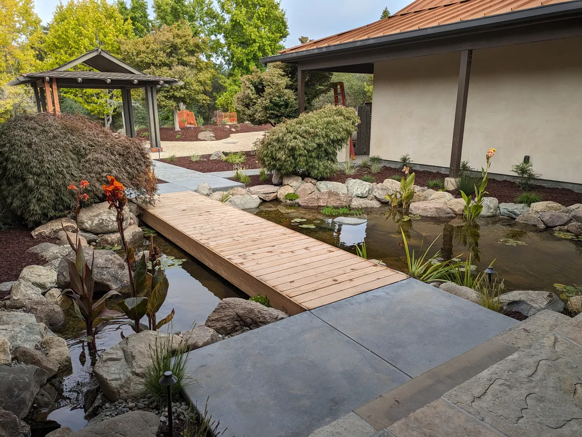 Soquel Courtyard Pond detail 6