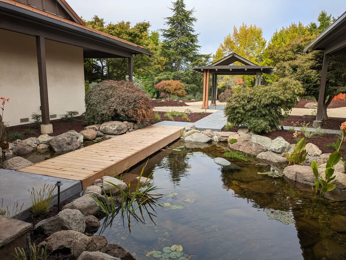Soquel Courtyard Pond detail 7