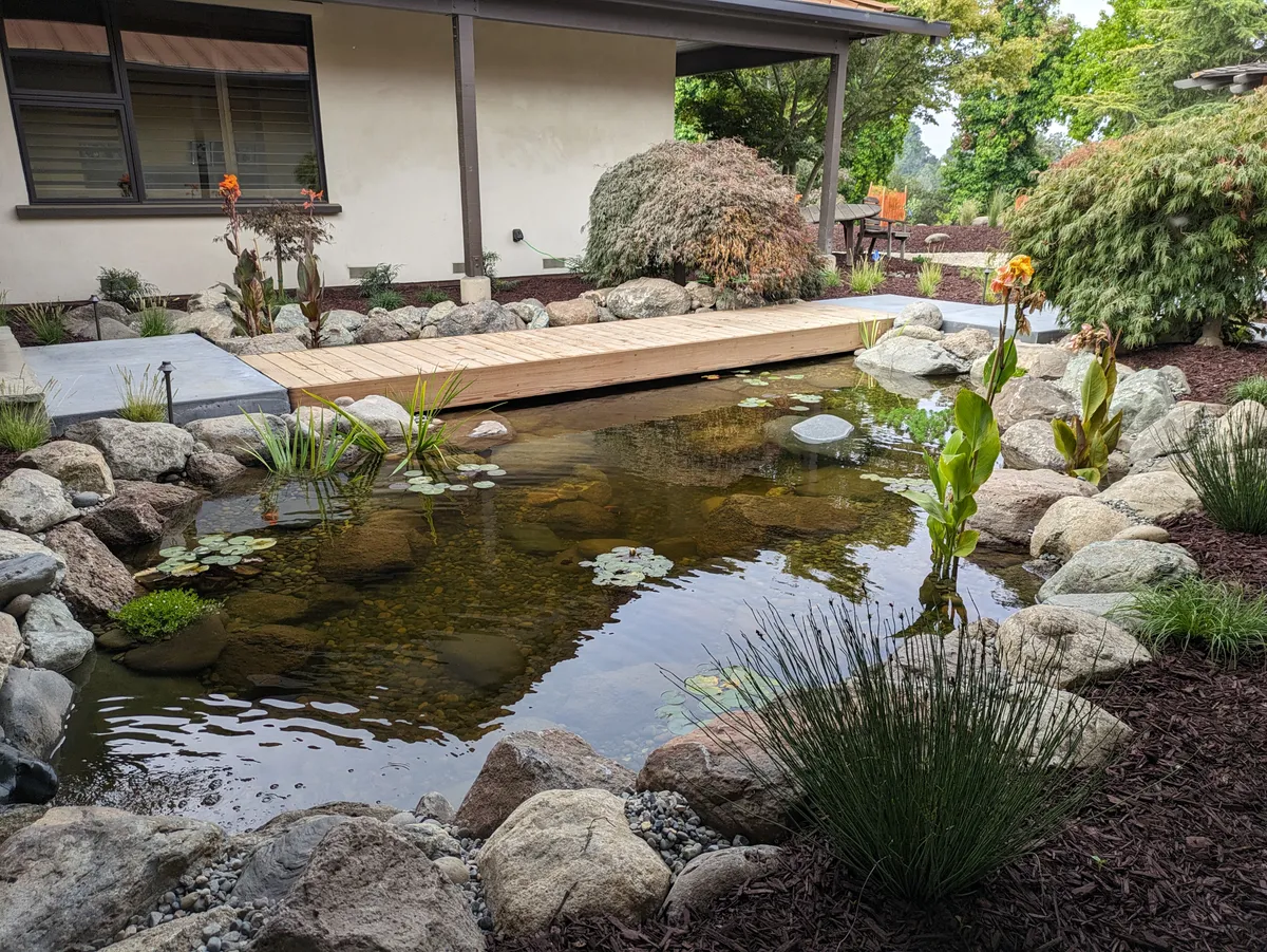 Soquel Courtyard Pond detail 8