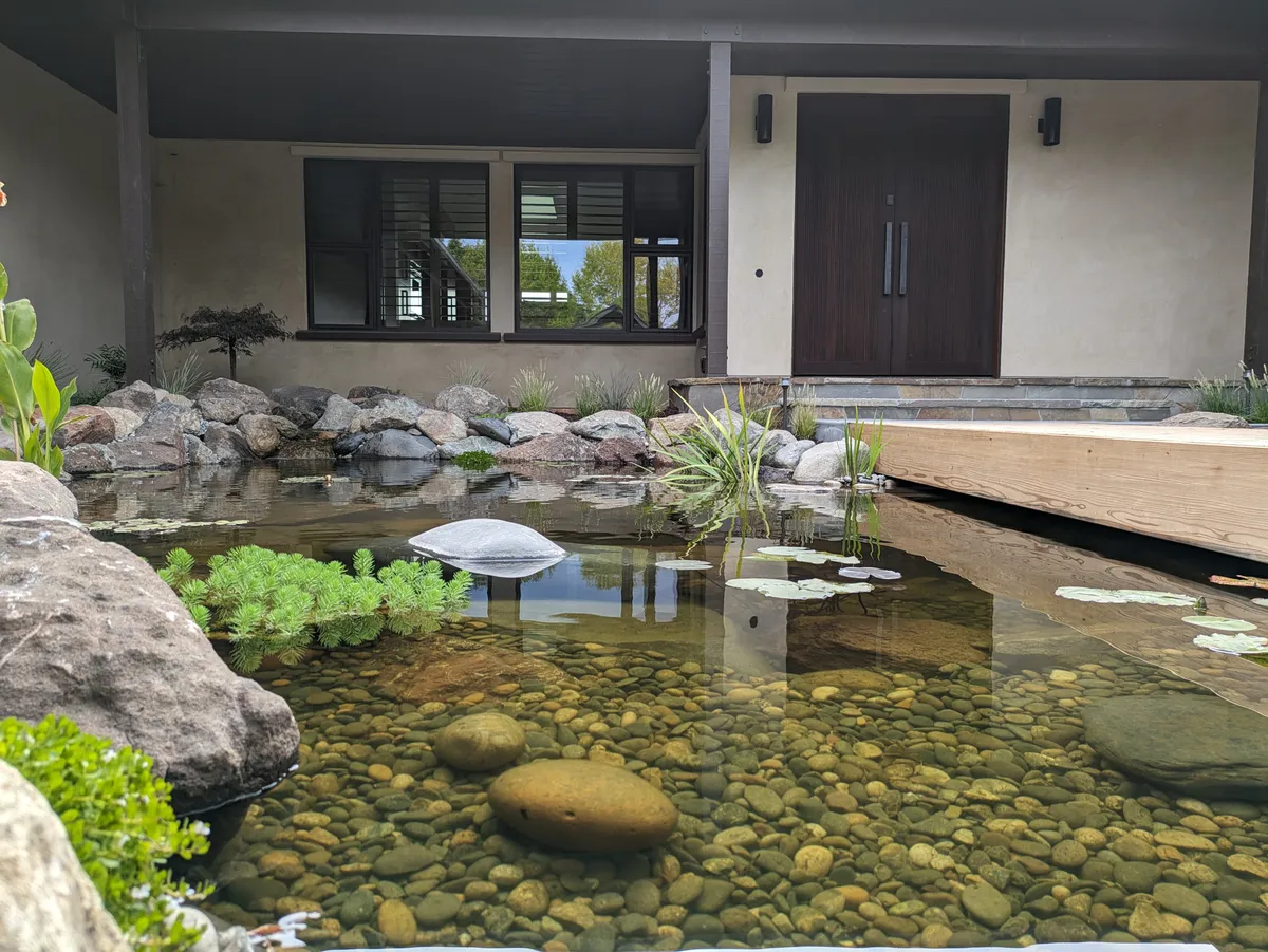 Soquel Courtyard Pond detail 9