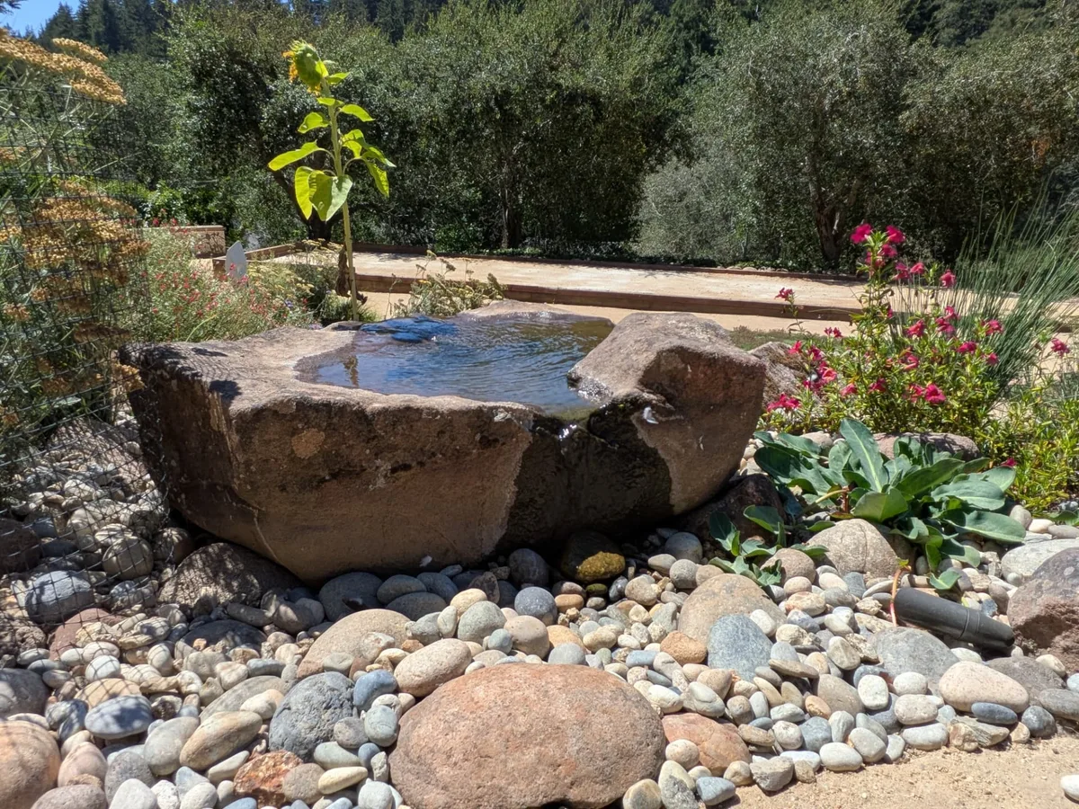 A hand-carved stone basin overflowing into river rock, surrounded by garden planting