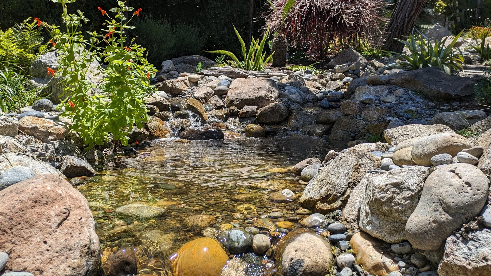Sunlit stream flowing over rounded stones into a clear, hand-built pool