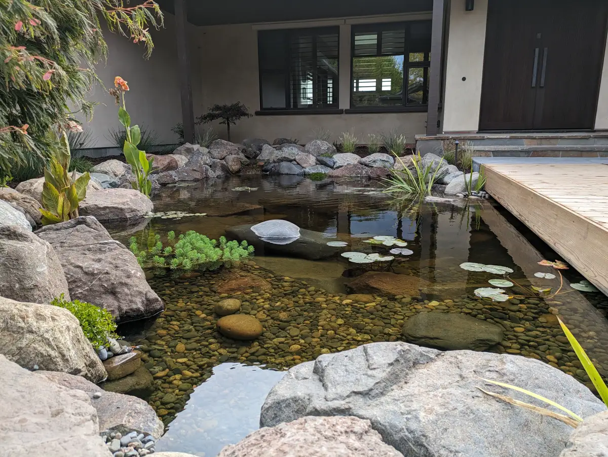 A clear ecosystem and koi pond crossed by a cedar bridge